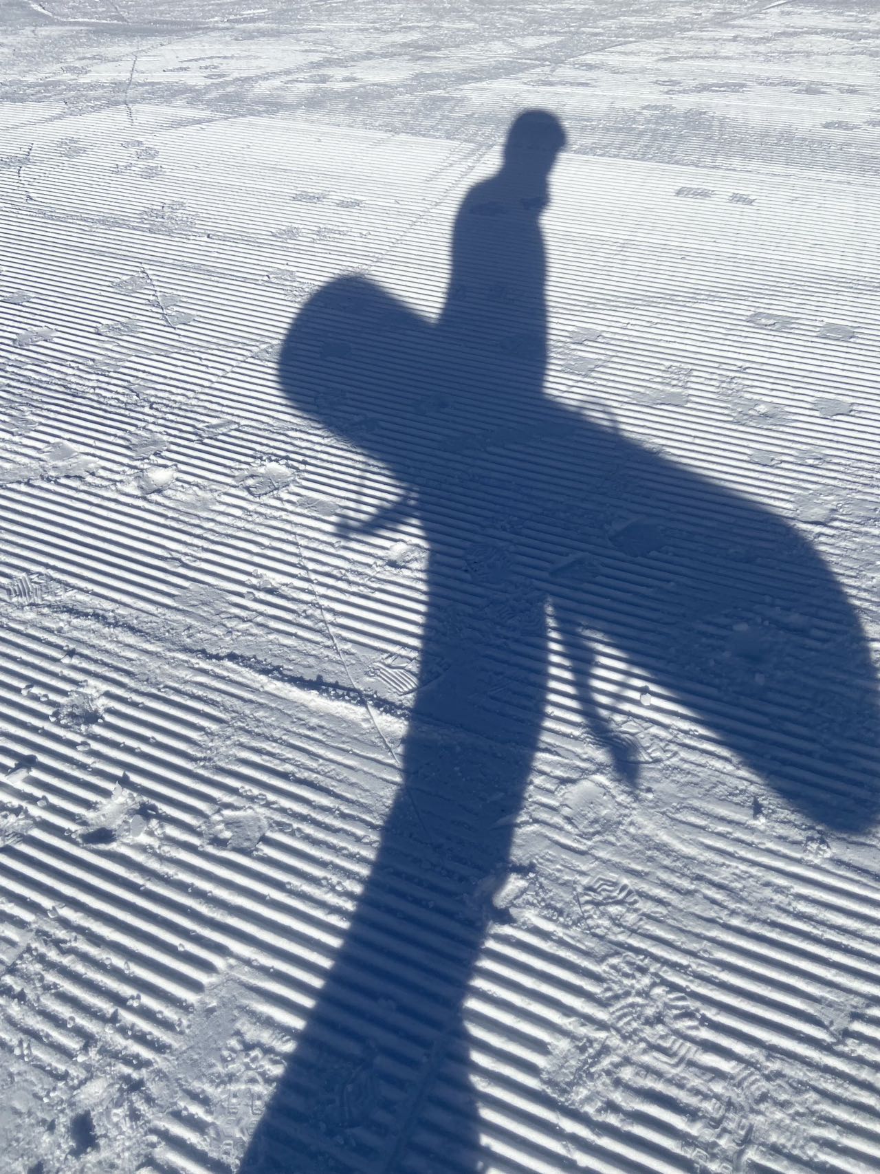 滑雪.jpg